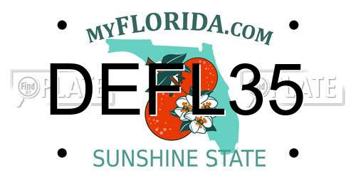 DEFL35 Florida License Plate