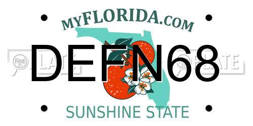 DEFN68 Florida License Plate