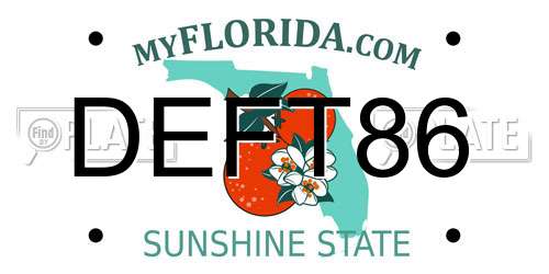 DEFT86 Florida License Plate