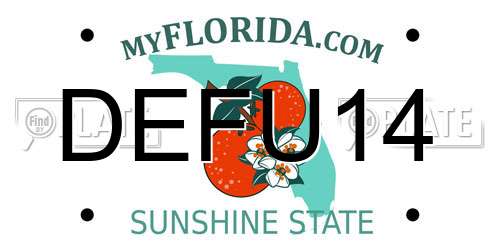 DEFU14 Florida License Plate