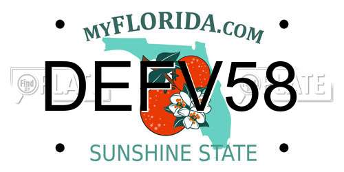 DEFV58 Florida License Plate