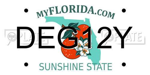 DEG12Y Florida License Plate