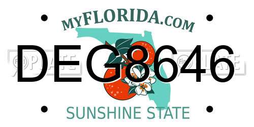 DEG8646 Florida License Plate