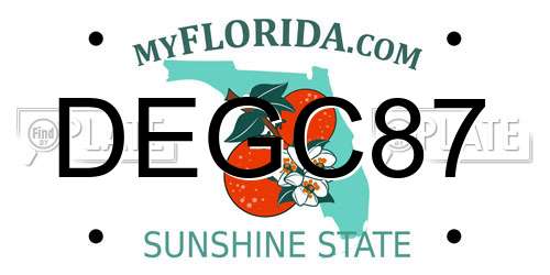DEGC87 Florida License Plate
