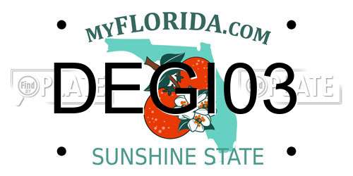DEGI03 Florida License Plate