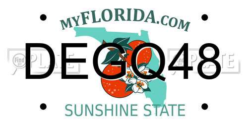 DEGQ48 Florida License Plate