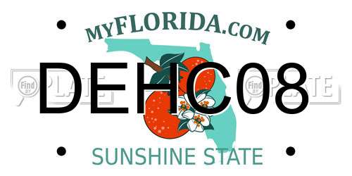 DEHC08 Florida License Plate