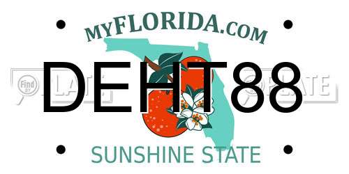 DEHT88 Florida License Plate