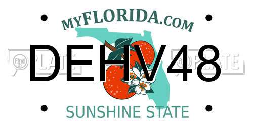DEHV48 Florida License Plate