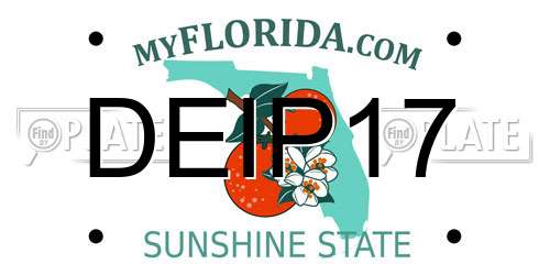 DEIP17 Florida License Plate