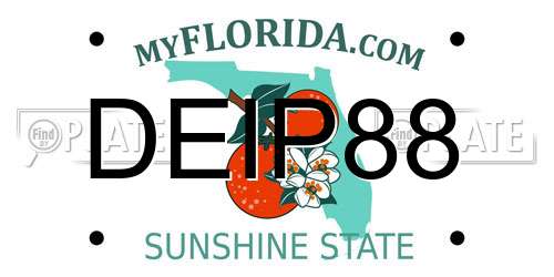 DEIP88 Florida License Plate