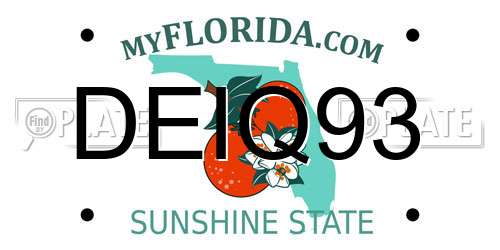 DEIQ93 Florida License Plate