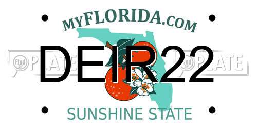 DEIR22 Florida License Plate