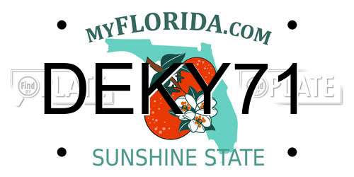 DEKY71 Florida License Plate