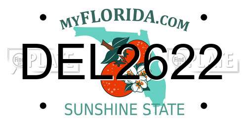 DEL2622 Florida License Plate
