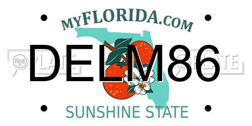 DELM86 Florida License Plate