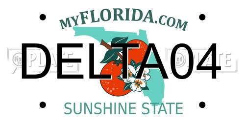 DELTA04 Florida License Plate
