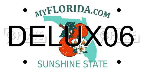 DELUX06 Florida License Plate