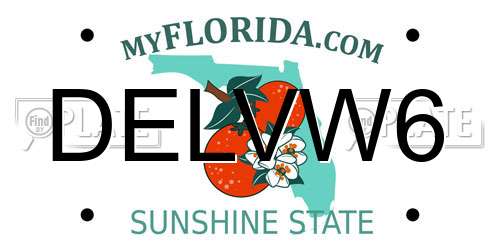 DELVW6 Florida License Plate