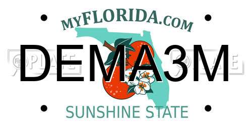 DEMA3M Florida License Plate