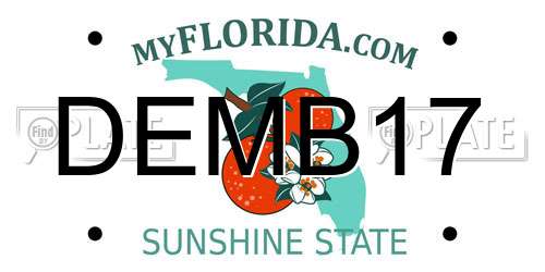 DEMB17 Florida License Plate