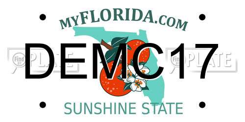 DEMC17 Florida License Plate