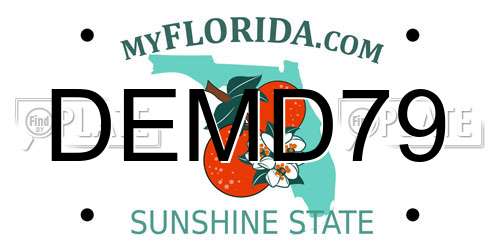 DEMD79 Florida License Plate