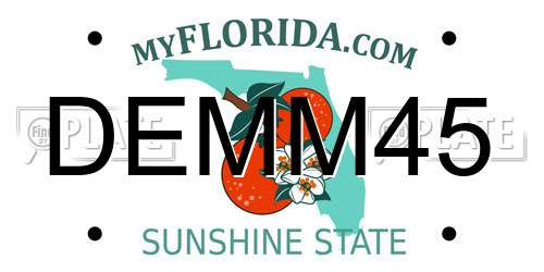 DEMM45 Florida License Plate