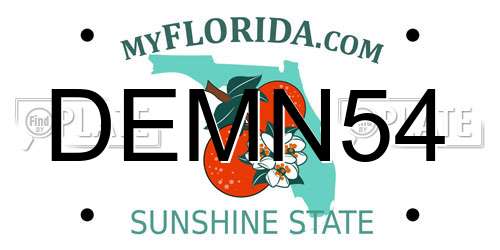 DEMN54 Florida License Plate