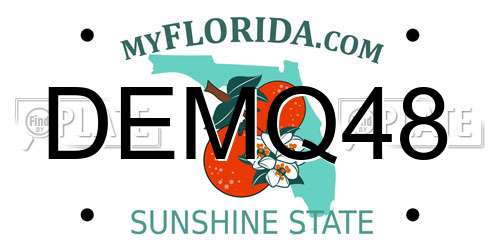 DEMQ48 Florida License Plate