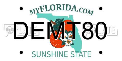 DEMT80 Florida License Plate