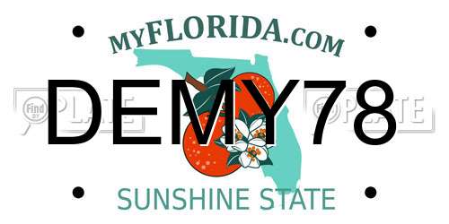 DEMY78 Florida License Plate