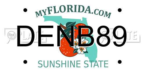DENB89 Florida License Plate