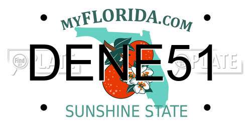 DENE51 Florida License Plate