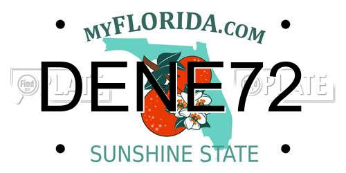 DENE72 Florida License Plate