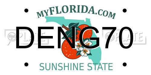 DENG70 Florida License Plate