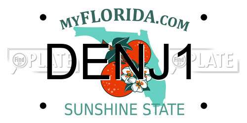 DENJ1 Florida License Plate