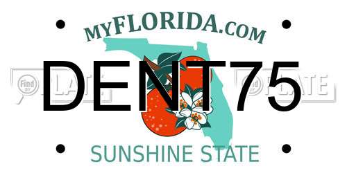 DENT75 Florida License Plate