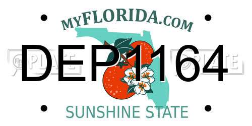 DEP1164 Florida License Plate