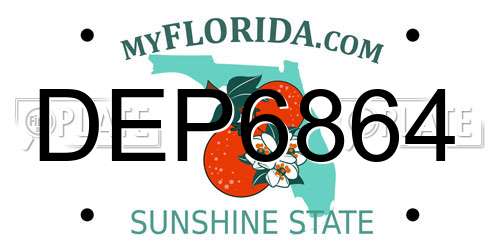 DEP6864 Florida License Plate