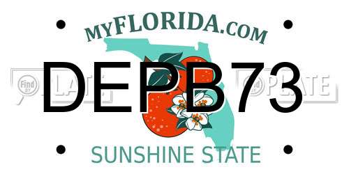DEPB73 Florida License Plate