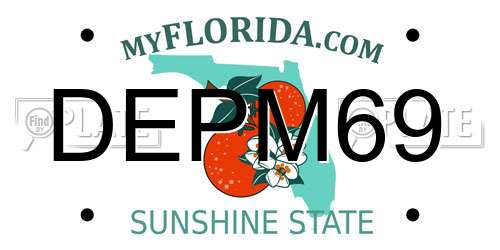 DEPM69 Florida License Plate