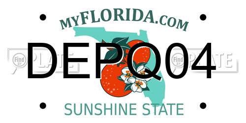DEPQ04 Florida License Plate