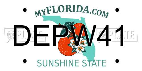 DEPW41 Florida License Plate