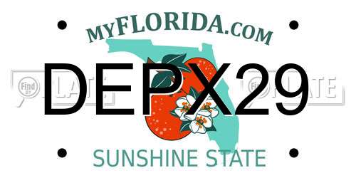 DEPX29 Florida License Plate