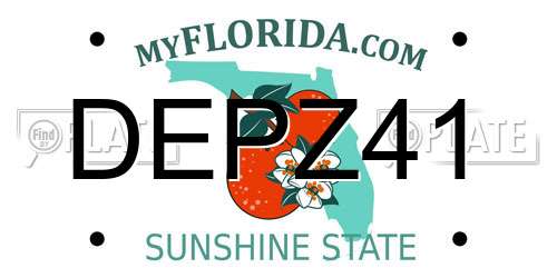 DEPZ41 Florida License Plate