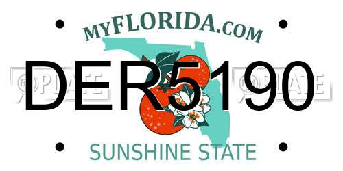 DER5190 Florida License Plate