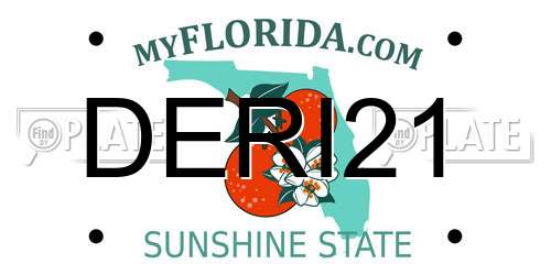 DERI21 Florida License Plate