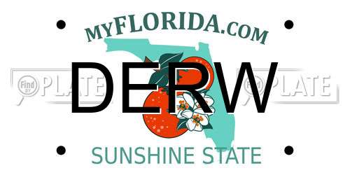 DERW Florida License Plate