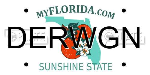 DERWGN Florida License Plate